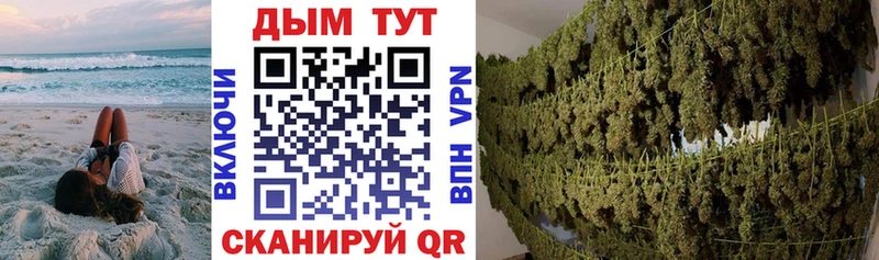 Купить закладку Галлюциногенные грибы Мефедрон ГАШИШ Марихуана БУТИРАТ Альфа ПВП Гдов