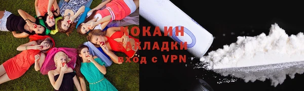 дживик Белокуриха