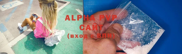 дживик Белокуриха