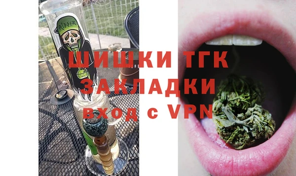 дживик Белокуриха