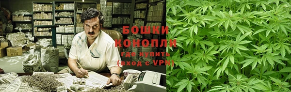 дживик Белокуриха