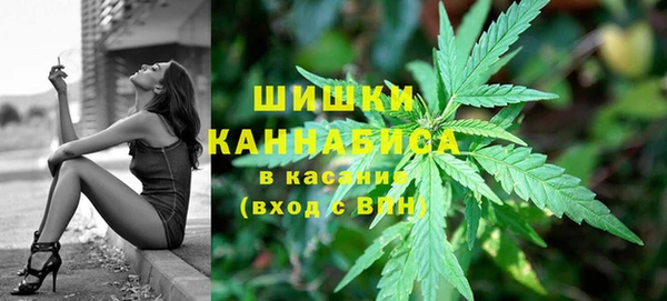 дживик Белокуриха