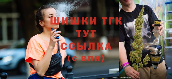 дживик Белокуриха
